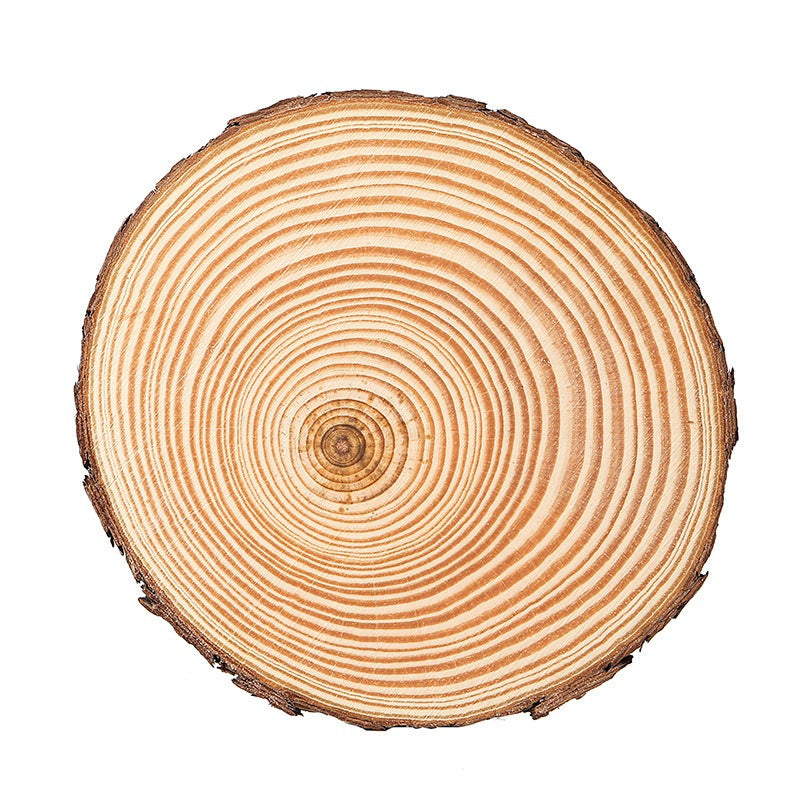 Round Wood Piece Handmade DIY Material Hand-Painted Year Round Piece Log Piece Background Wall Decoration Kindergarten Ring Creation Wood Piece